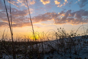 Morning Sunlight over Dunes