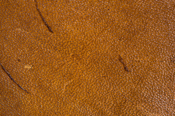 Roughly processed dense strong camel leather with furrows and scars, close, close-up
