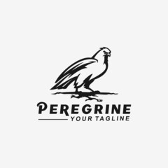 Fototapeta premium Eagle Hawk Raptor Peregrine Bird Vector Logo Design Template Idea