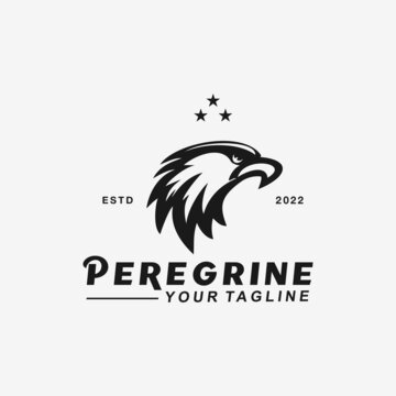 Eagle Hawk Raptor Peregrine Head Vector Logo Design Template Idea