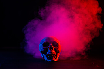 Human skull in pink and blue smoke on a black background. Halloween.
