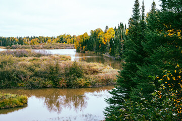Marsh scene in fall, in Grand Portage State Park Minnesota
