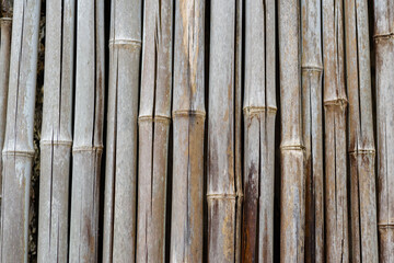 背景素材などに使える竹の写真