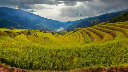 Papier Peint photo Mu Cang Chai Mu Cang Chai, landscape terraced rice field near Sapa, Vietnam