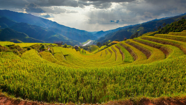 Mu Cang Chai, landscape terraced rice field near Sapa, Vietnam