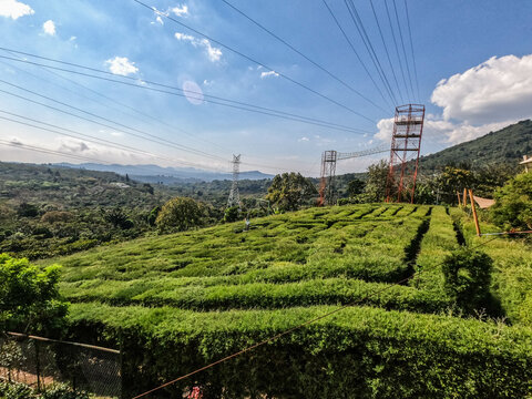 Labyrinth along the Ruta de Flores, Apaneca, El Salvador