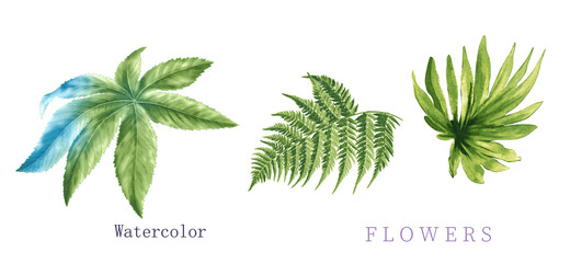  watercolor flowers , suitable for fabric, greeting card, wallpaper, packaging