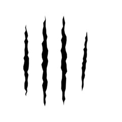 Cat scratches. Black claws animal scratch, Torn paper. Cat claws trace. Vector illustration on black background.