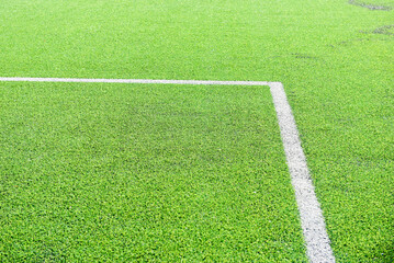 Green lawn grass abstract  texture on background.