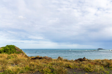 Seals sleeping on Cape Palliser coast, New Zealand