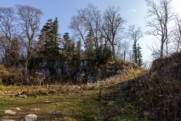 Late autumn in nature, dull time and cloudy sky, dull colors and the breath of winter, walking in...