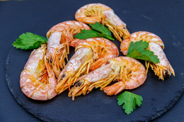 Boiled large langoustines on a black slate