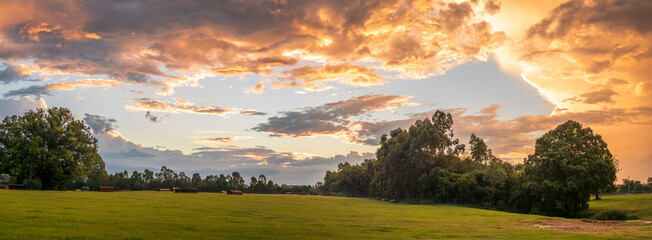 Panoramic View Across Parkland at Golden Hour