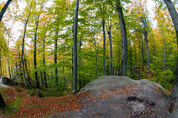 a beautiful landscape in the mountains with rock and summer forest
