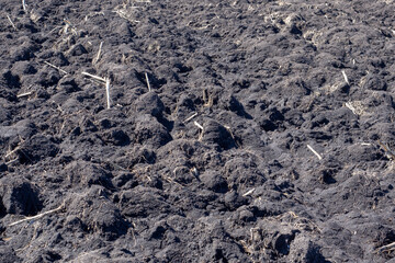 Arable land. Plowed field with large clods of black earth closeup.
