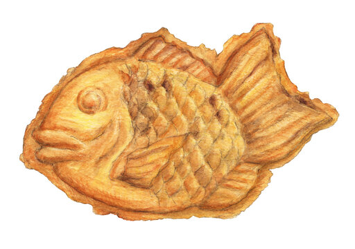 たい焼き 和菓子 手描きイラスト Stock Illustration Adobe Stock