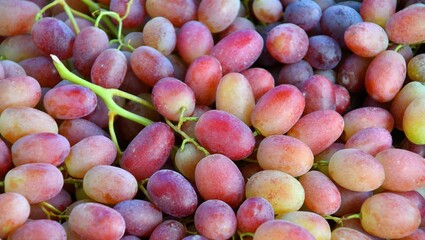 Ripe grapes of the new harvest are sold in the bazaar 