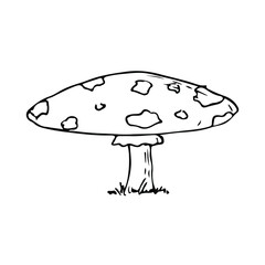 Mushroom. Vector illustration. Isolated on white. Hand-drawn style.