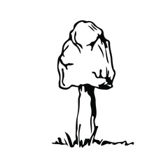 Mushroom. Vector illustration. Isolated on white. Hand-drawn style.