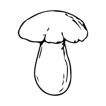 recommend clip art: Mushroom. Vector illustration. Isolated on white. Hand-drawn style.