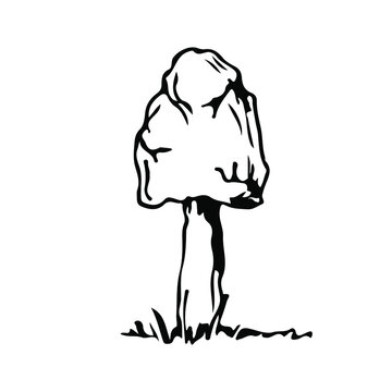 recommend clip art: Mushroom. Vector illustration. Isolated on white. Hand-drawn style.