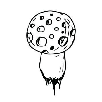 recommend clip art: Mushroom. Vector illustration. Isolated on white. Hand-drawn style.
