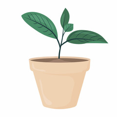 Houseplant in a pot. Fashion home decor Vector illustration isolated on white background