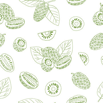 noni fruit seamless pattern hand drawn doodle. vector, minimalism, scandinavian, monochrome, sketch. wallpaper, textile, wrapping paper, background. superfood, food.