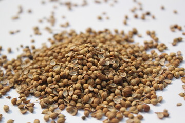 Coriander seeds on a white background