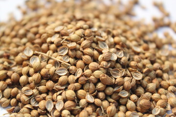 Coriander seeds on a white background