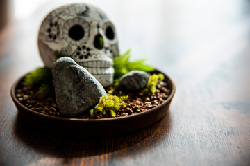 moss and skull