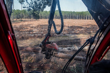 Fototapeta na wymiar inside view of a harvester machine cutting a pine trunk for the timber industry