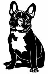 Dog Drawing Vector on white background, Assorted Dog Face and Style Outline, Vintage Sketch Line Art, Pastel Watercolor.