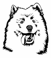 Dog Drawing Vector on white background, Assorted Dog Face and Style Outline, Vintage Sketch Line Art, Pastel Watercolor.