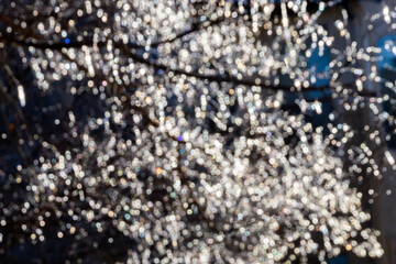 An abstract image from ice in trees