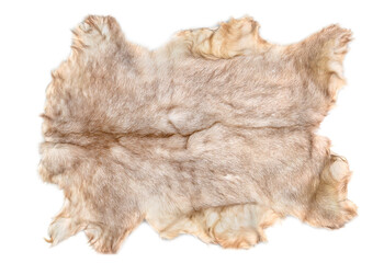 Goat fur isolated on white background. Top view. - obrazy, fototapety, plakaty