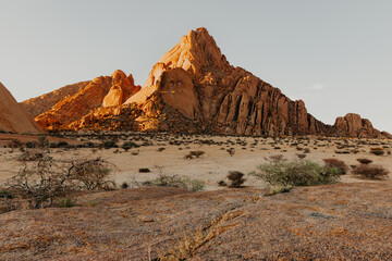 Epic African savannh landscape that sort of looks like pride rock from the lion king