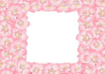 Obraz na płótnie Canvas 桜の花を散りばめたフレーム素材