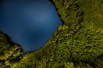 Landscape of blue lake in forest