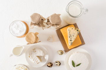 top view of the white background with various dairy products - milk in bottles, sour cream, cottage cheese in the bowl, cheese on a wooden board.