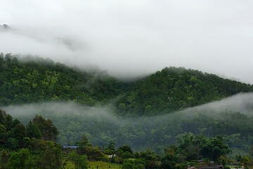 Fog in the mountain