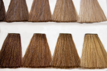 Set with color hair samples. Beauty and professional treatment