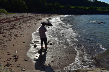 海藻が多い海に散歩に来た日傘男子