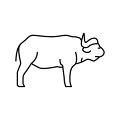 buffalo mammal wild animal line icon vector illustration