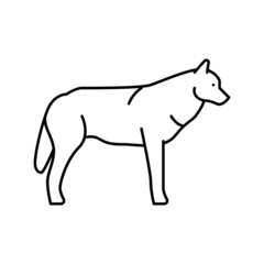 wolf wild animal line icon vector illustration
