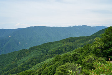 Fototapeta na wymiar 長野県飯田市　蛇洞林道からの眺め 