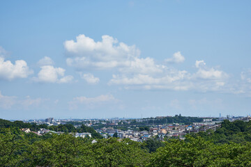 神奈川県　生田緑地　枡形山からの景色
