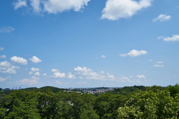 Fototapeta na wymiar 神奈川県　生田緑地　枡形山からの景色 
