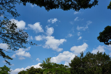 神奈川県　生田緑地の空
