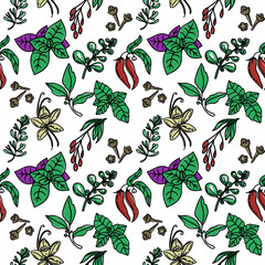 Seamless pattern of herbs, drawn element in doodle style. Culinary, Kitchen. Herbs and spices - chili, vanilla, barberry, rosemary, bay leaf, etc. Pattern in a fashionable linear style.